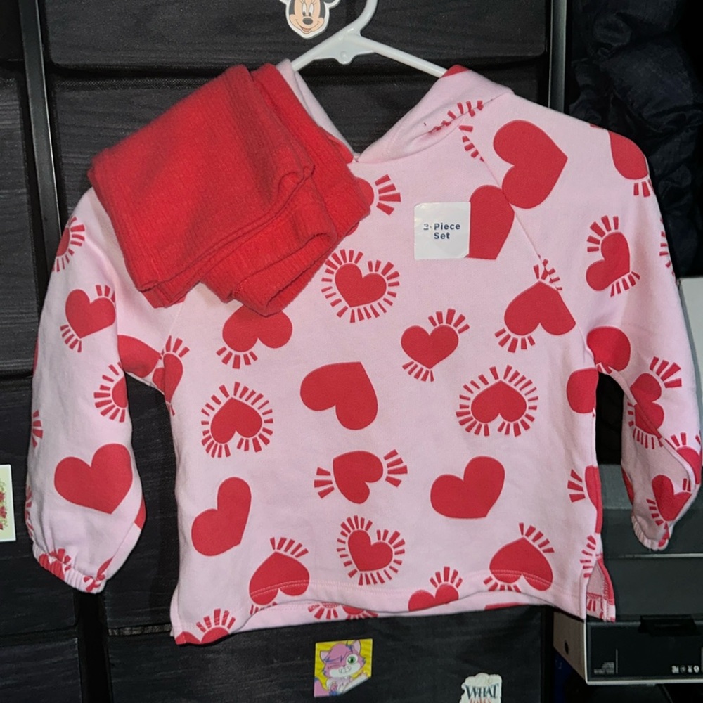 Brand new, never worn kids hoodie set with pants